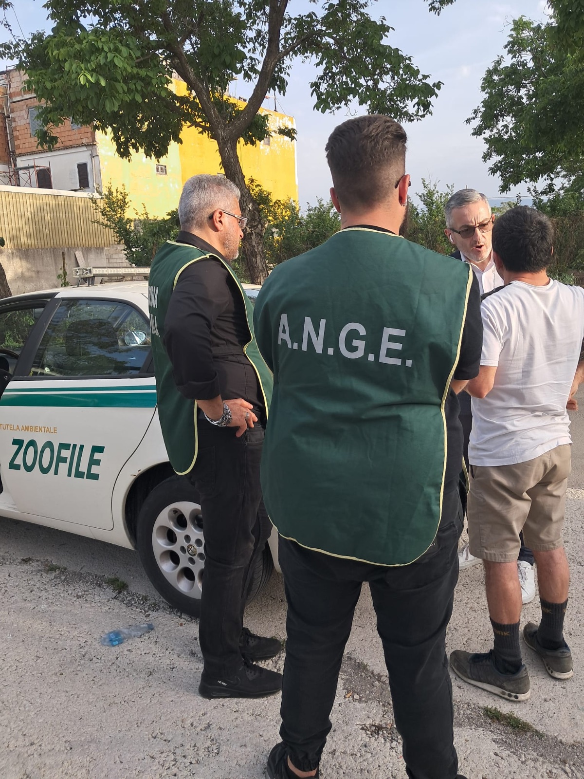Le attività di PG