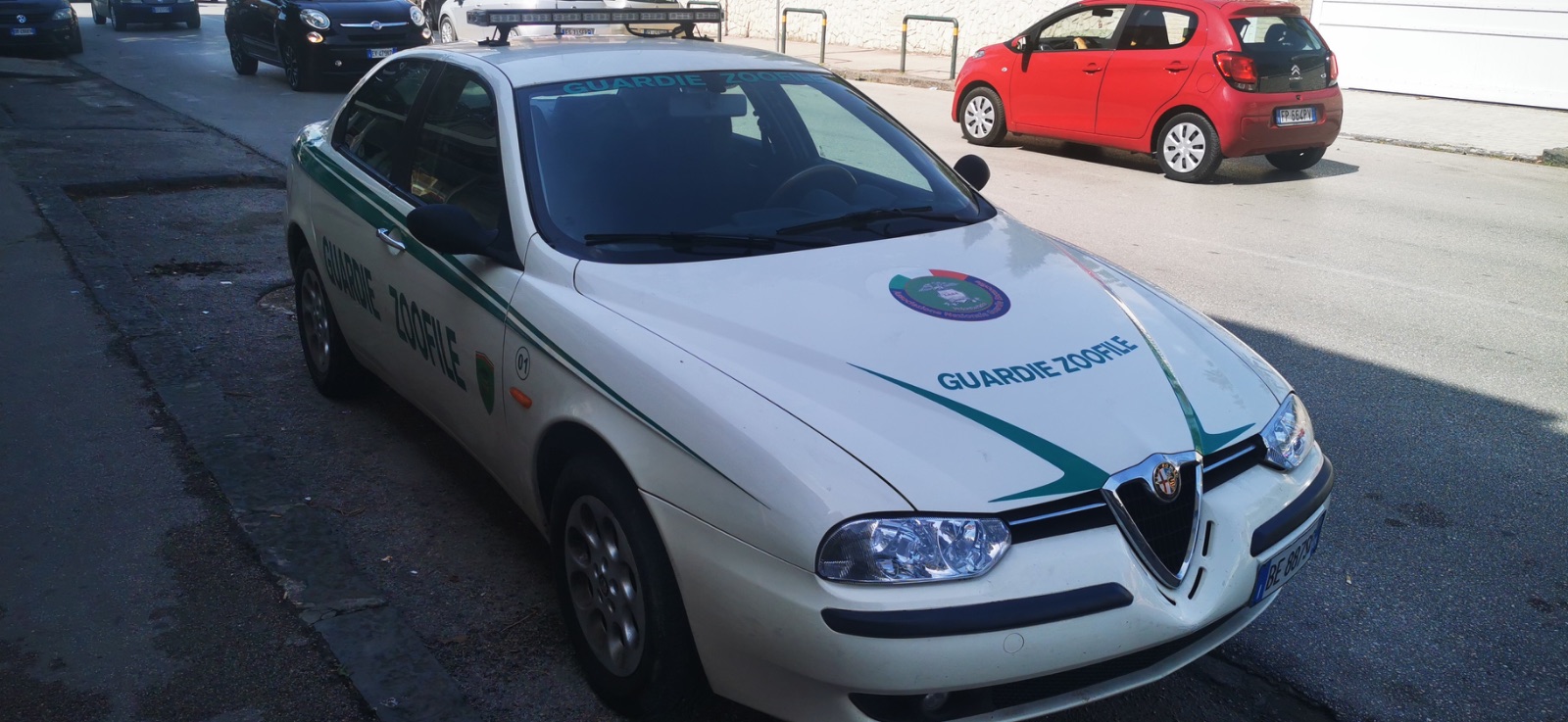 Le auto di servizio