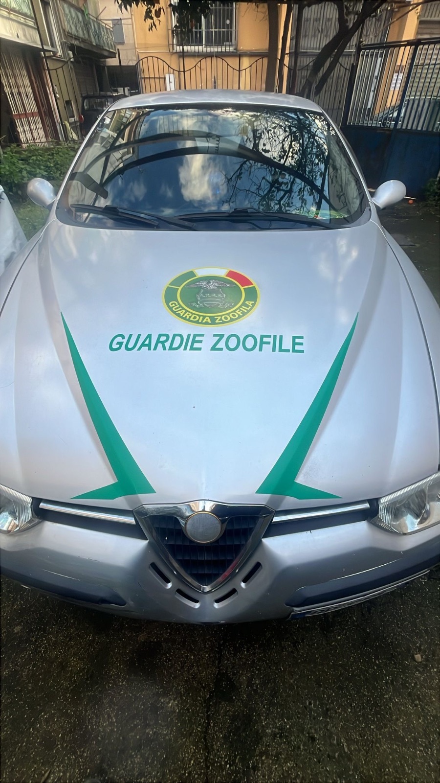 Le auto di servizio