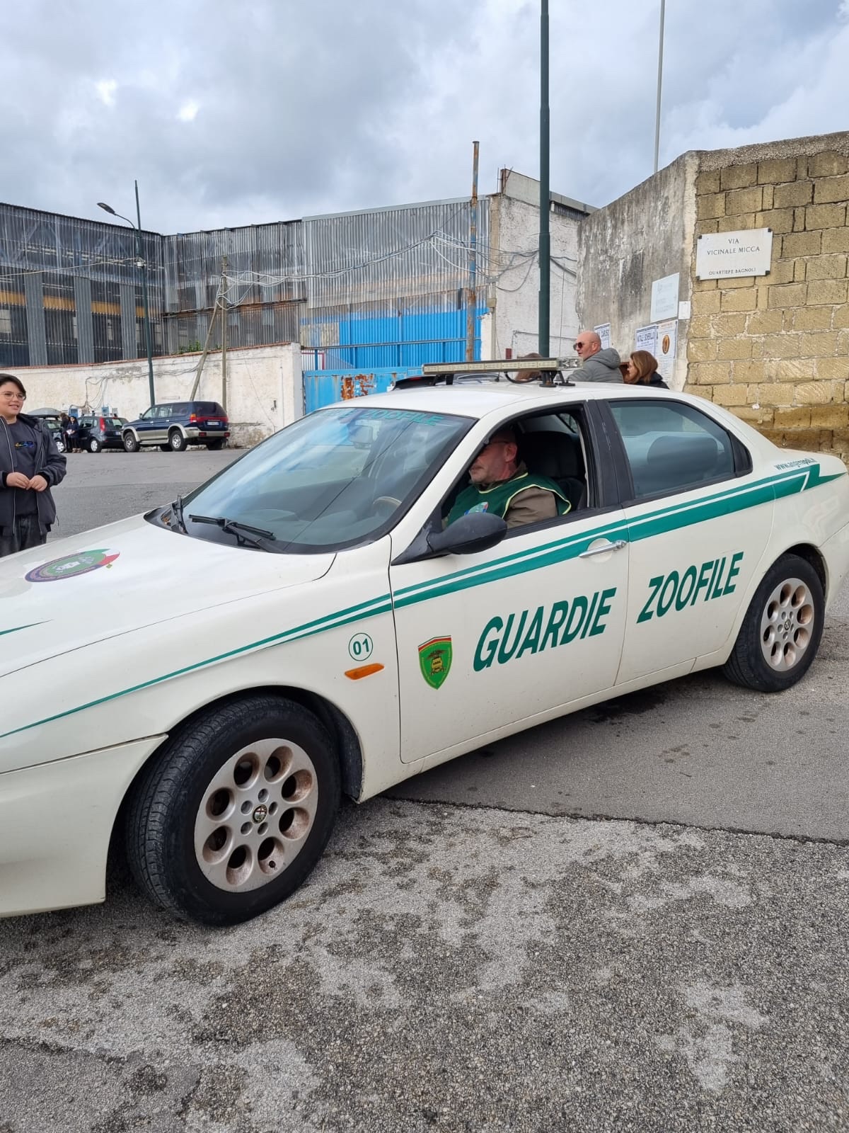 Le auto di servizio