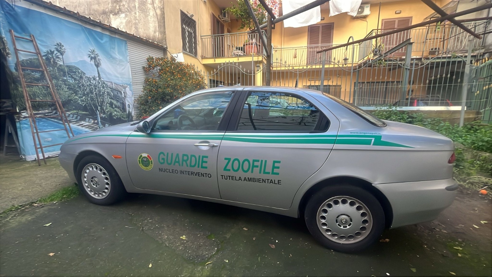 Le auto di servizio